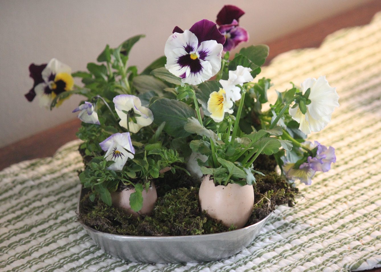 Easter-pansy-eggs.jpg