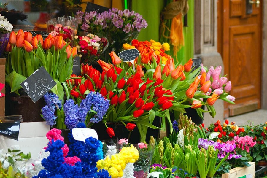 A French flowers market by color.