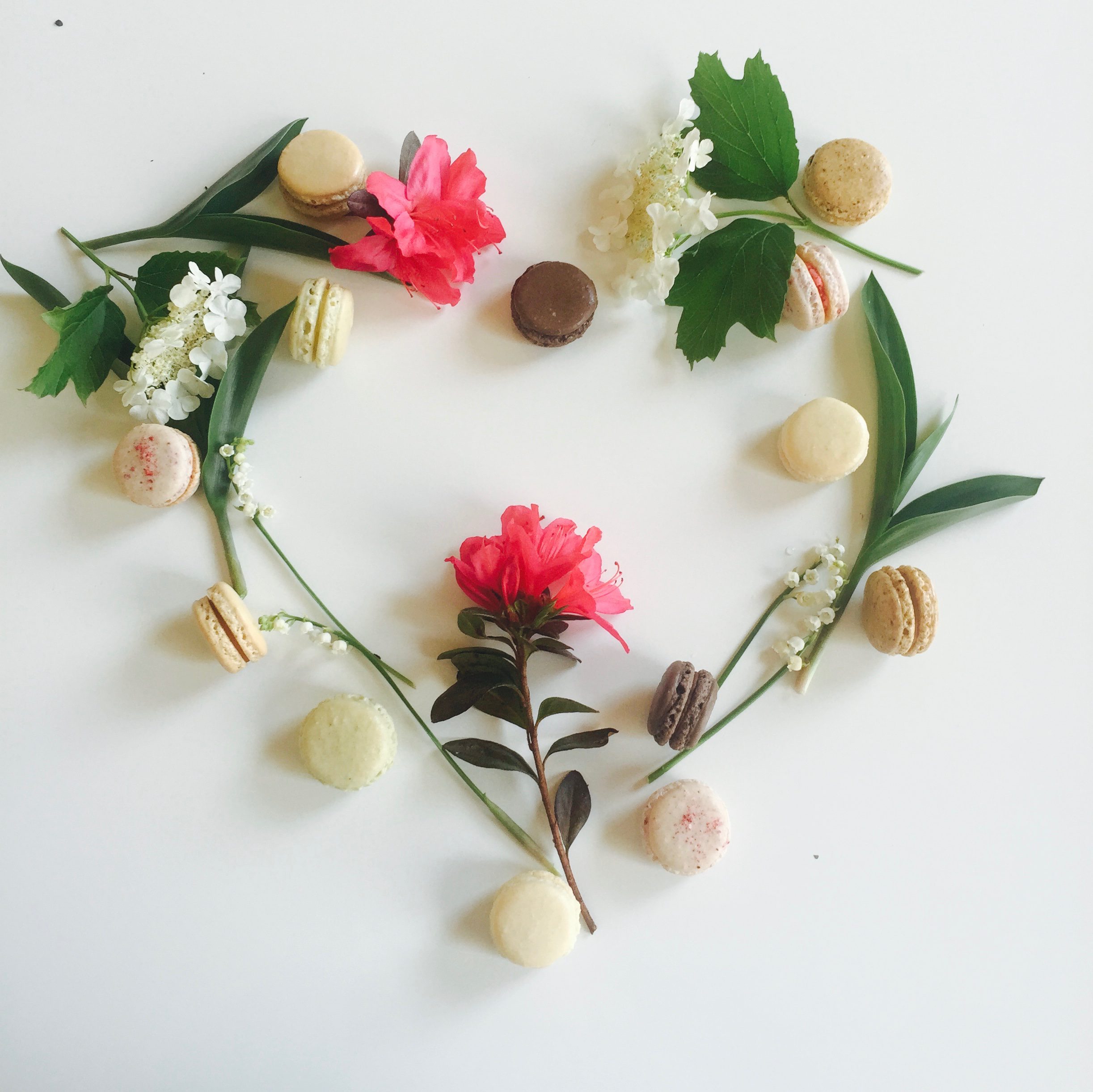 Pure-Love-Macaron-and-flowers